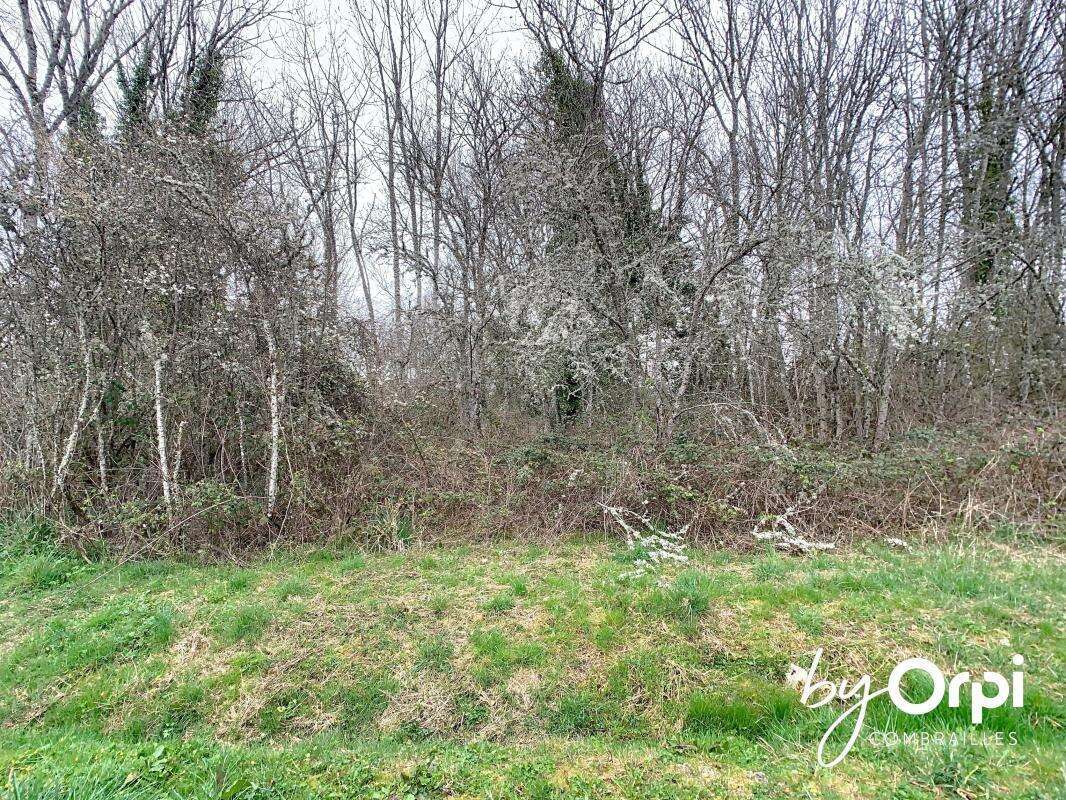 Maison à ROCHE-D'AGOUX