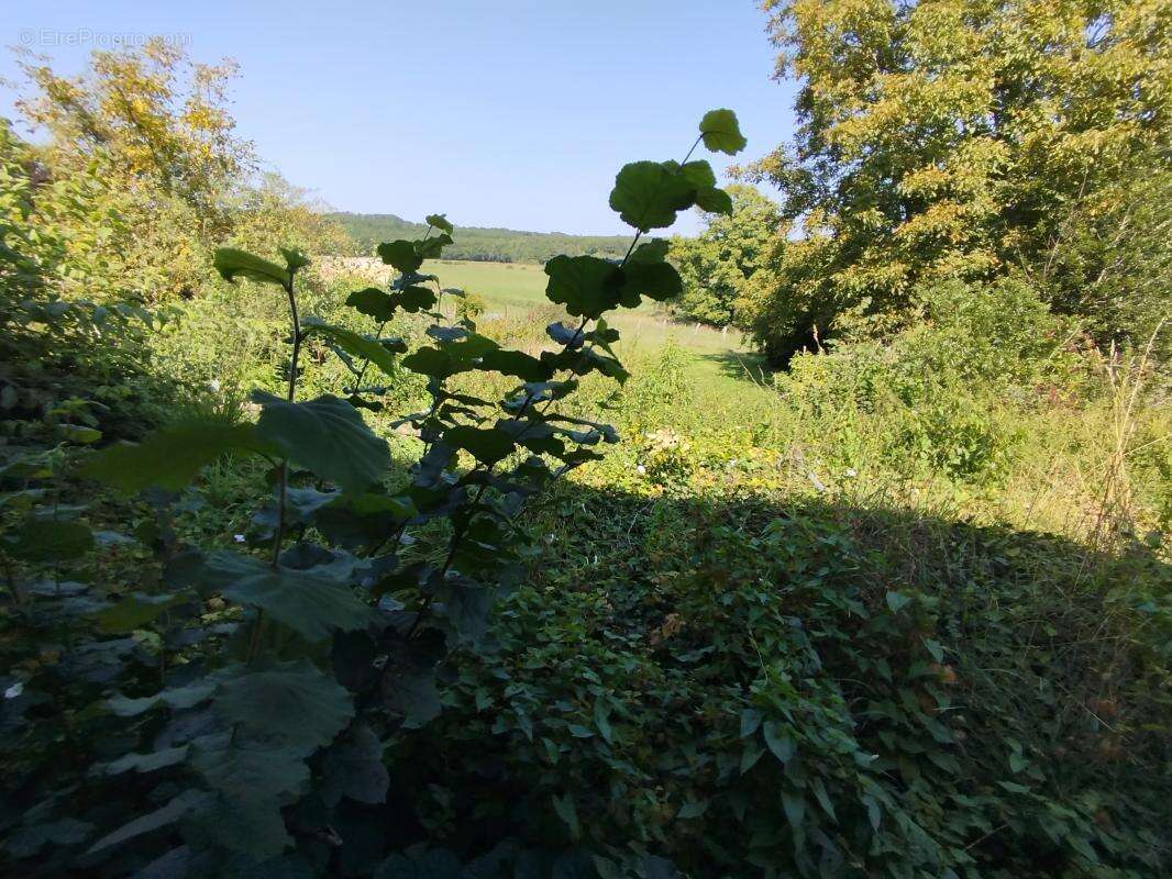 Maison à GEVIGNEY-ET-MERCEY