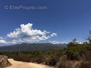 Terrain à FIGARI