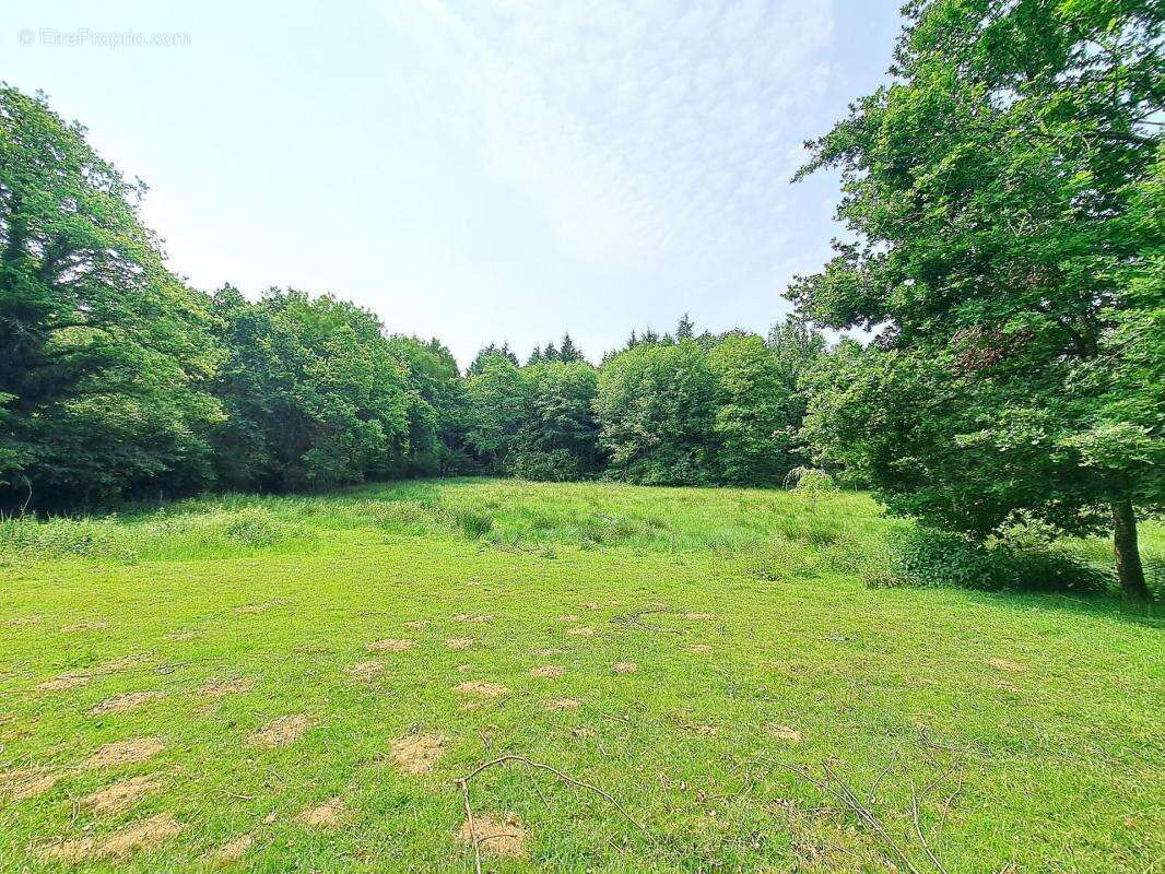 Maison à LIGNIERES-ORGERES