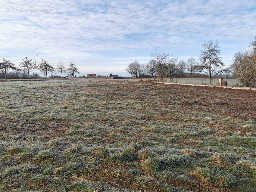 Terrain à SAINT-GEORGES-DE-MONS