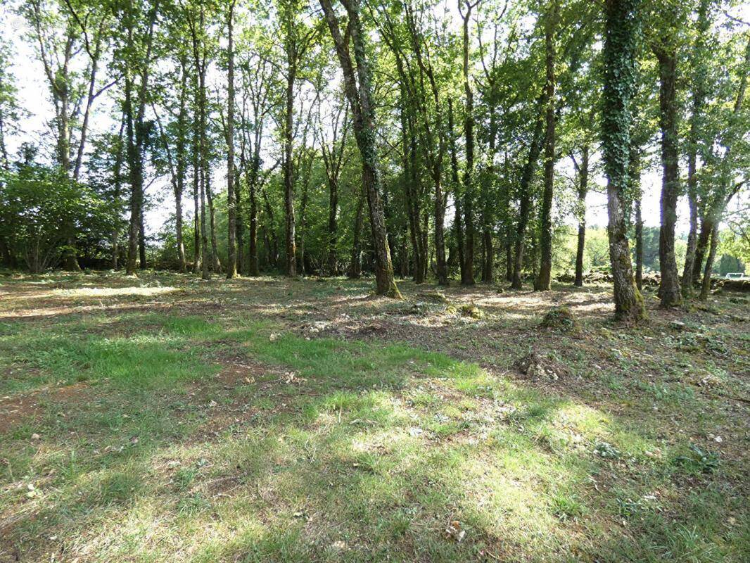 Maison à TOURTOIRAC