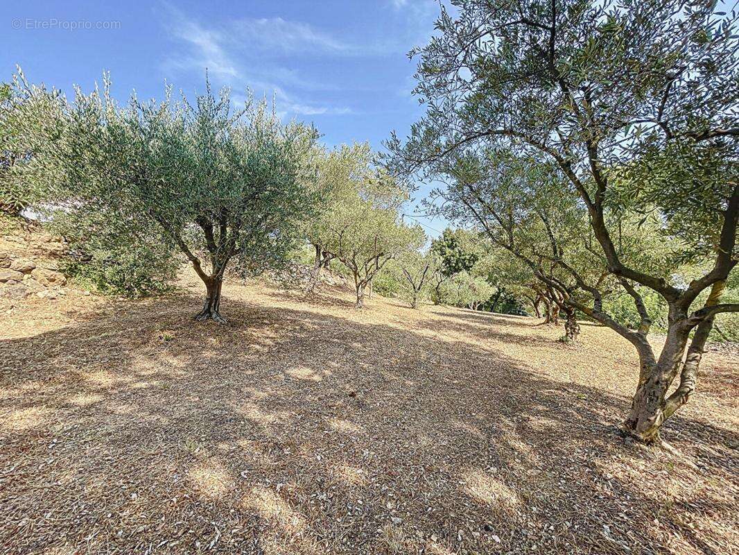 Maison à LE CANNET-DES-MAURES