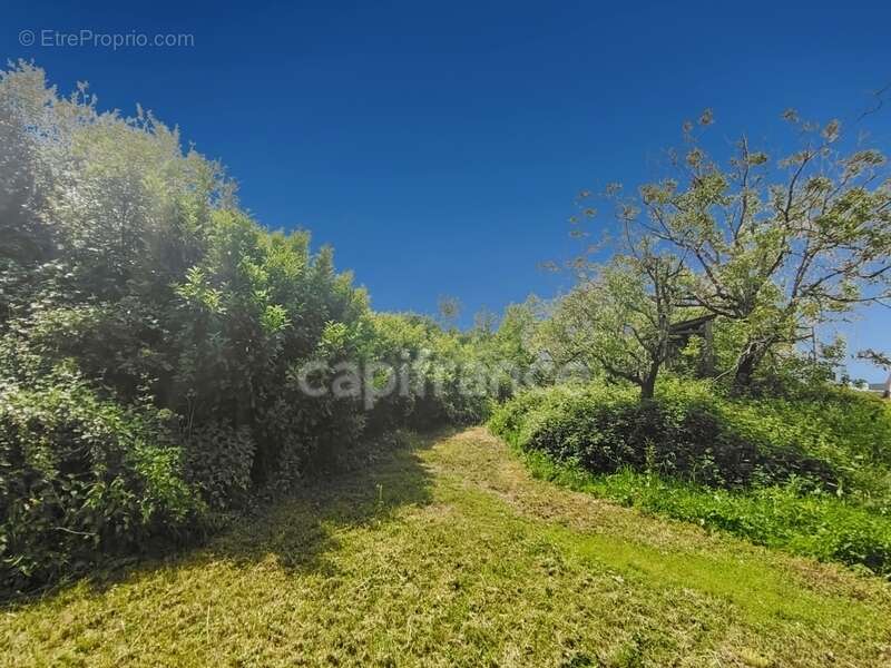 Maison à SAVIGNY-EN-REVERMONT