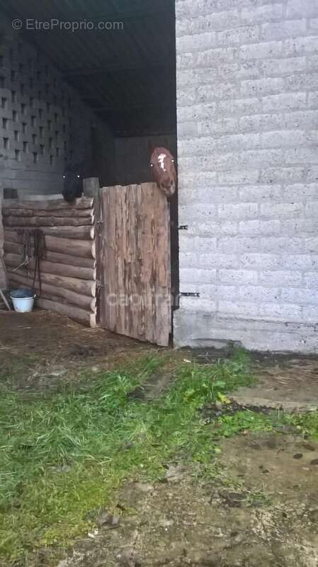 Maison à SAVIGNY-EN-REVERMONT