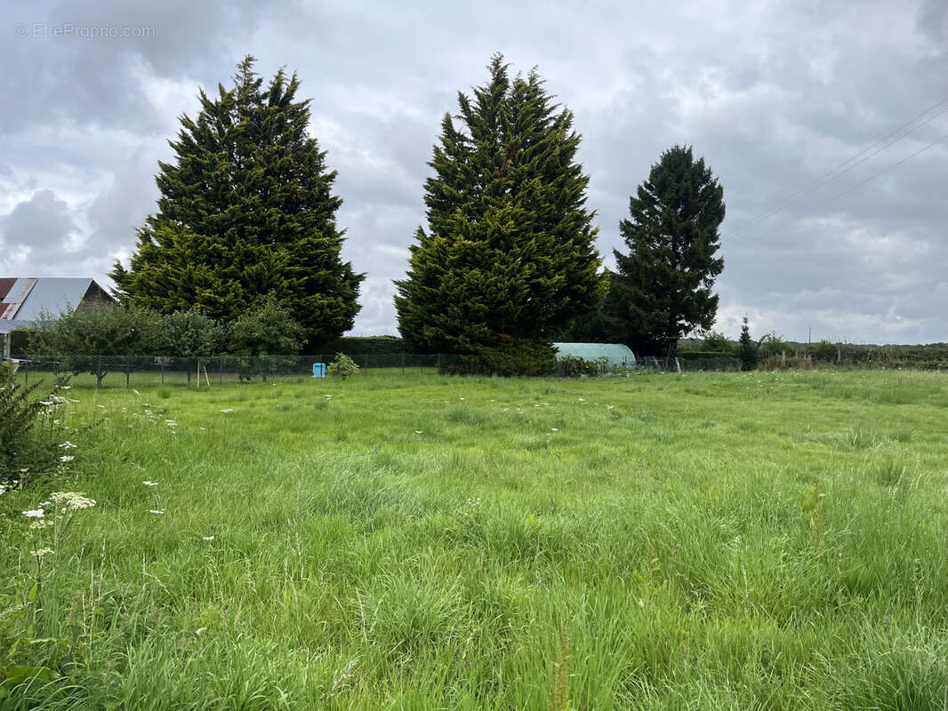 Maison à CAMPNEUSEVILLE