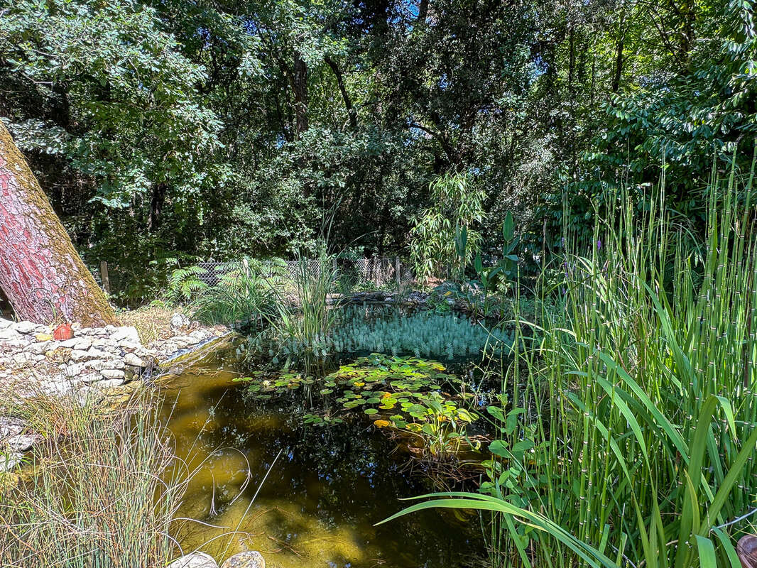 Maison à SAINT-AUGUSTIN