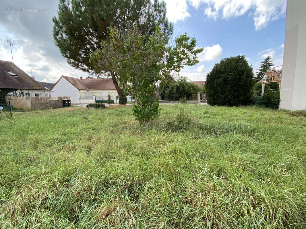 Terrain à LA FERTE-SAINT-AUBIN