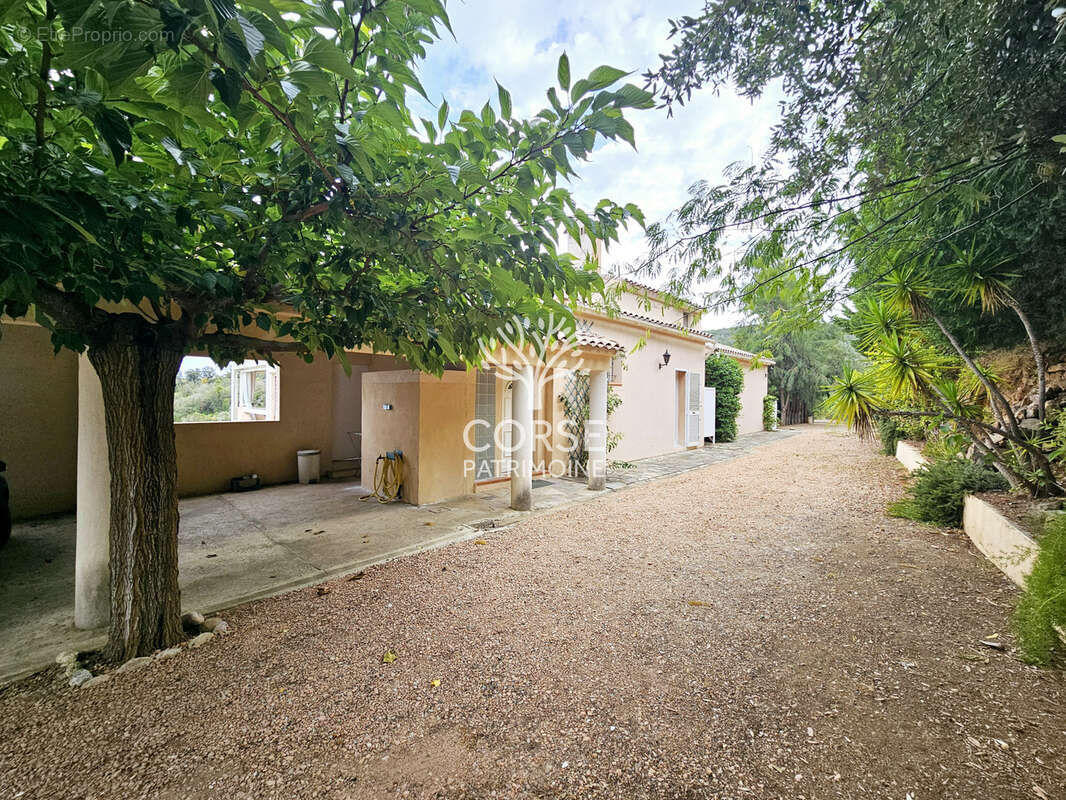 Maison à SARI-SOLENZARA
