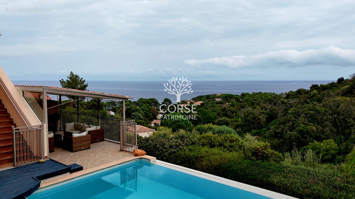 Maison à SARI-SOLENZARA