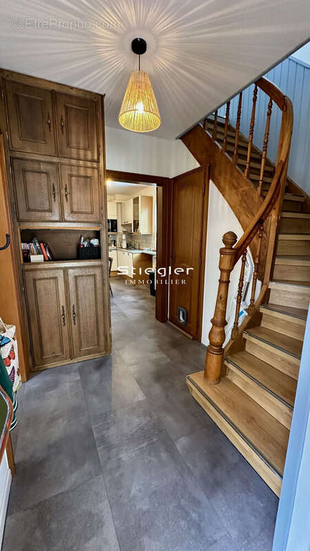 Dégagement - Maison à ILLKIRCH-GRAFFENSTADEN