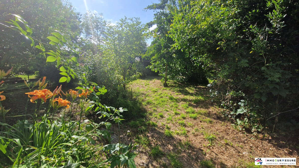 Terrain à SAINT-POL-SUR-TERNOISE