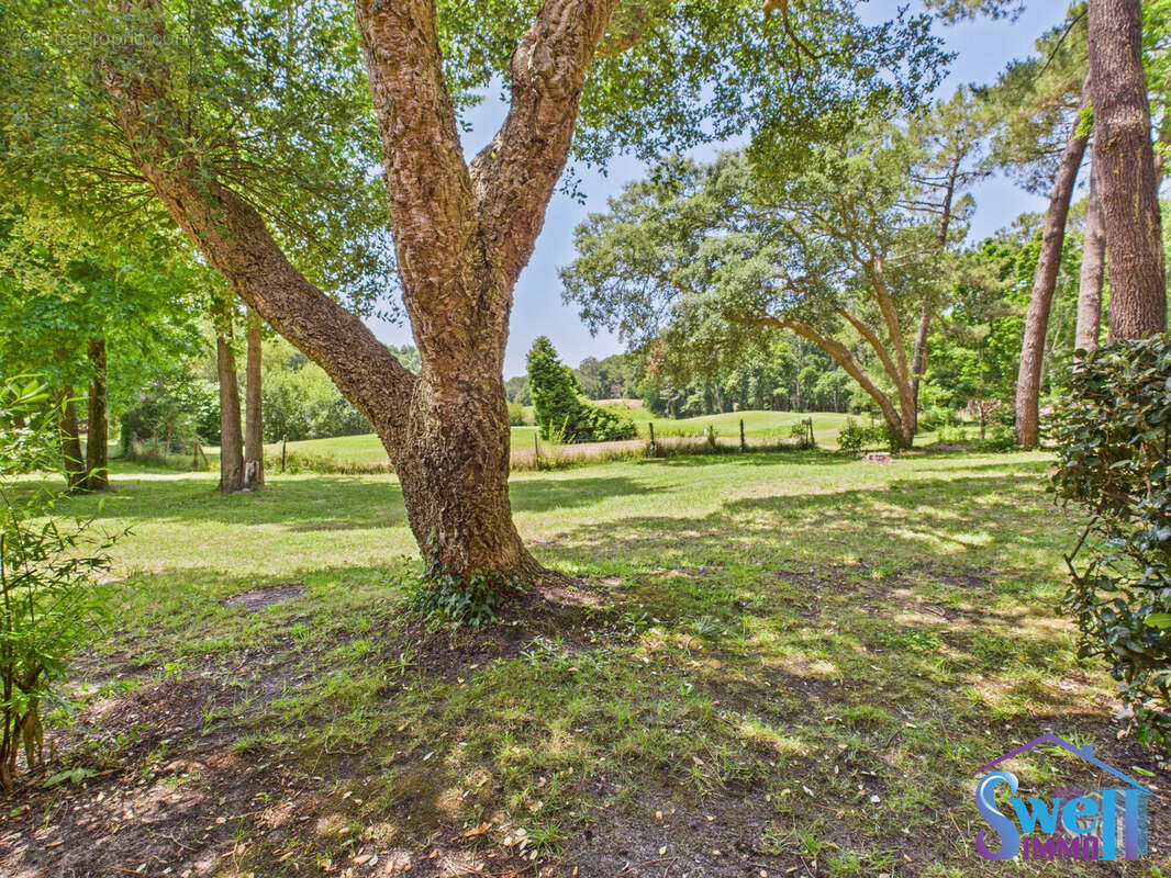 Maison à MOLIETS-ET-MAA