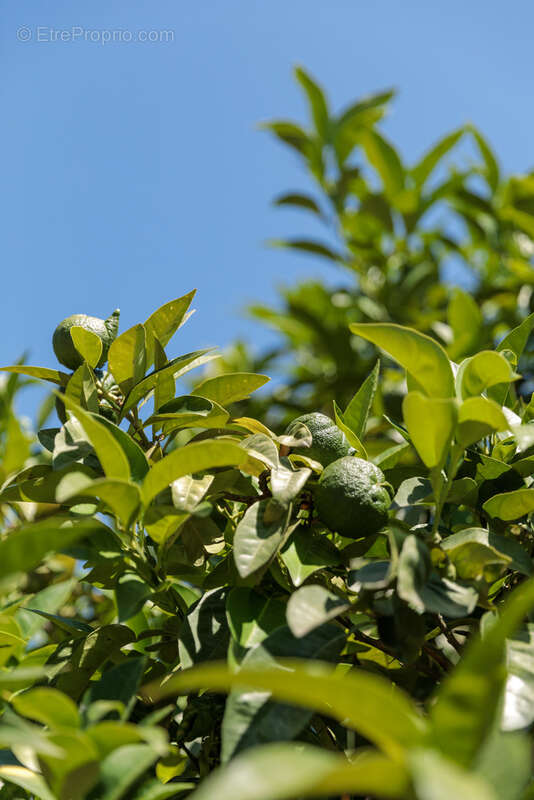 Maison à LE BAR-SUR-LOUP