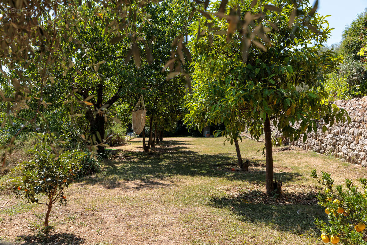 Maison à LE BAR-SUR-LOUP