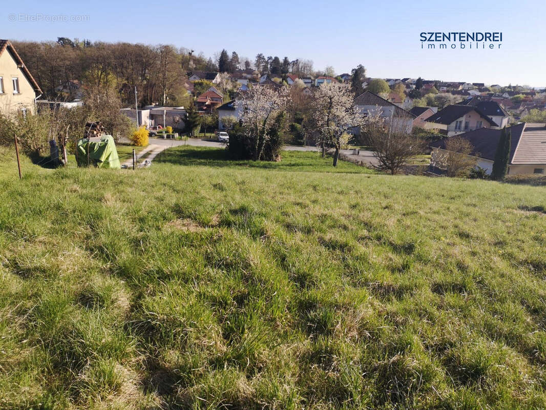 Terrain à AUDINCOURT