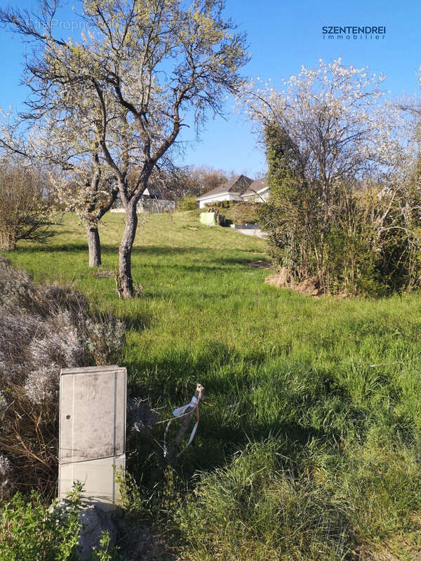 Terrain à AUDINCOURT
