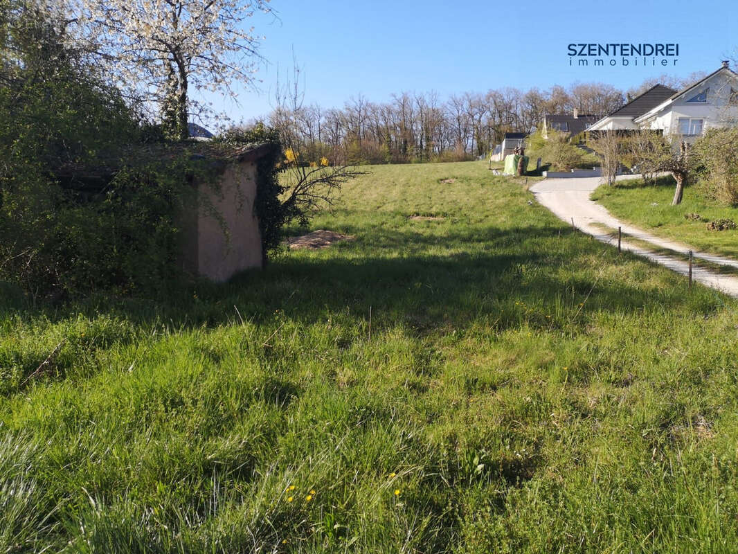 Terrain à AUDINCOURT