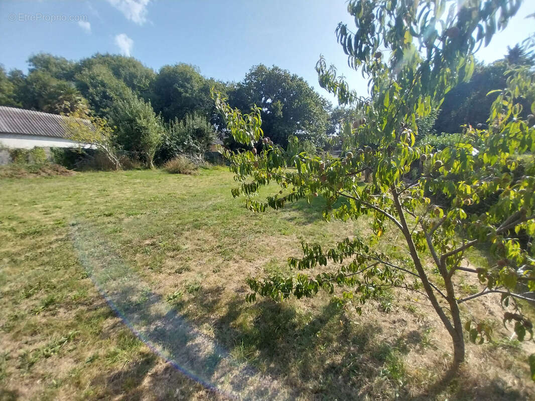 Terrain à LOCTUDY