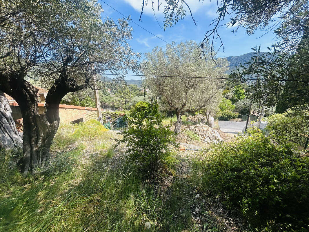 Terrain à LE REVEST-LES-EAUX