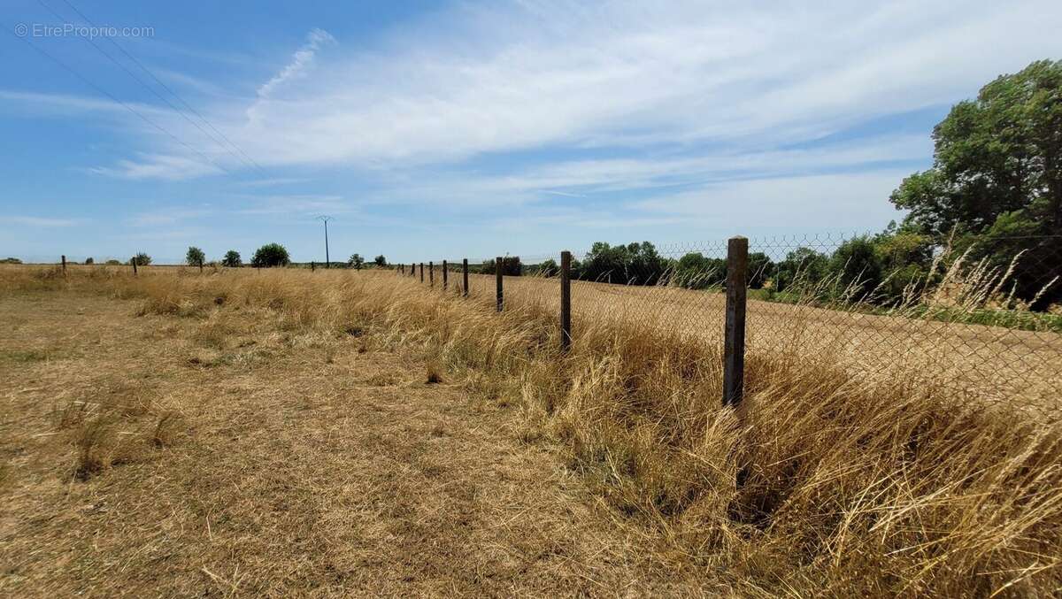 Terrain à SAINT-PIERRE-DE-L&#039;ILE