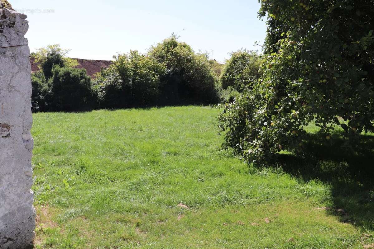 Maison à MONTDAUPHIN