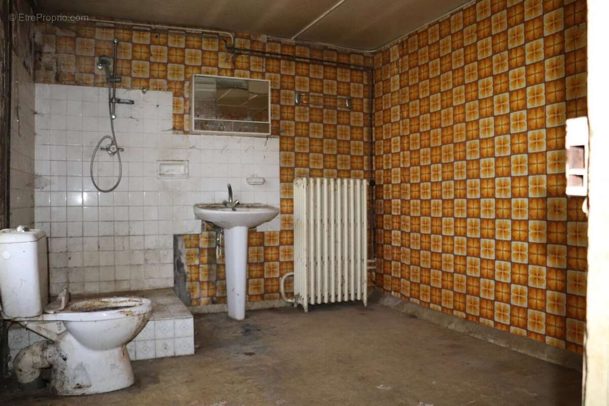 Maison à MONTDAUPHIN