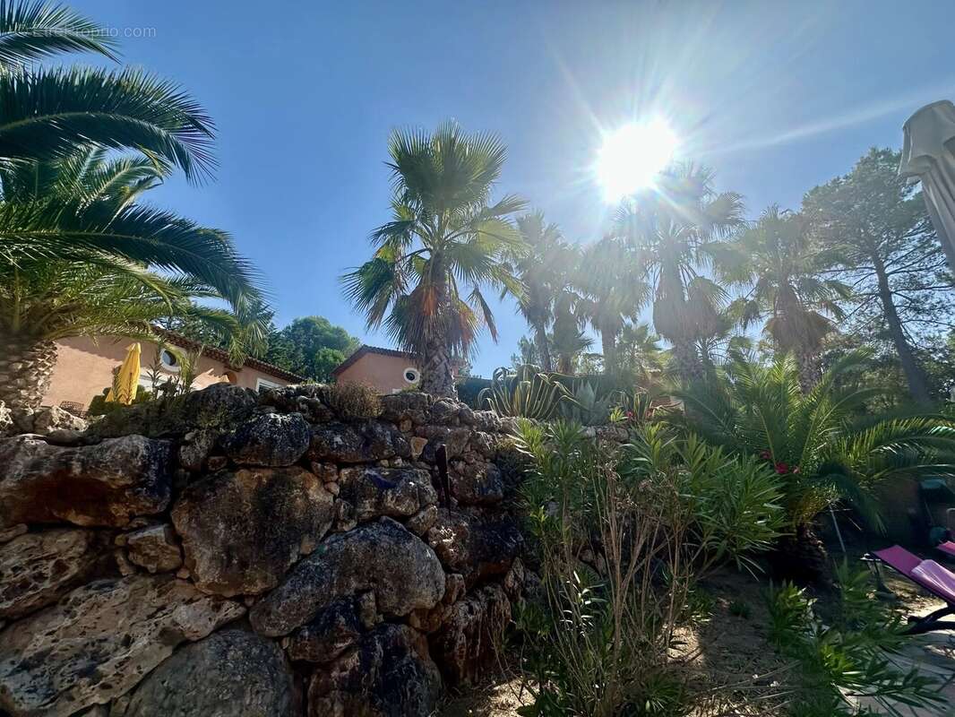 Maison à ROQUEBRUNE-SUR-ARGENS