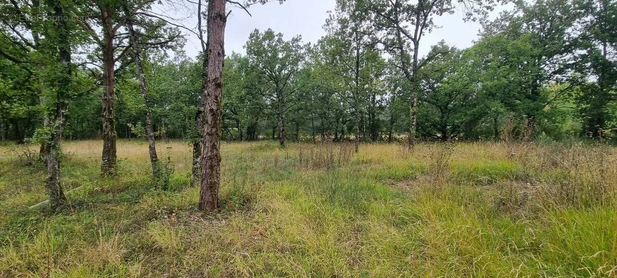 Terrain à SAINT-PAUL-DE-LOUBRESSAC
