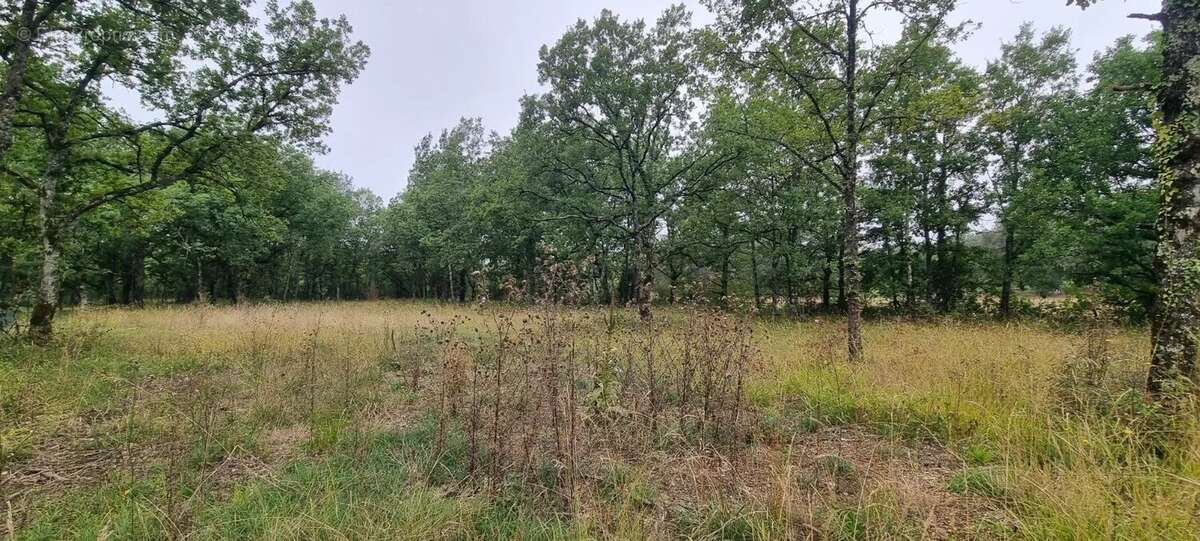 Terrain à SAINT-PAUL-DE-LOUBRESSAC
