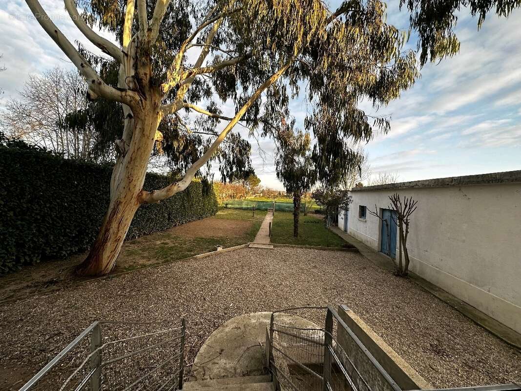 Maison à LESCURE-D&#039;ALBIGEOIS