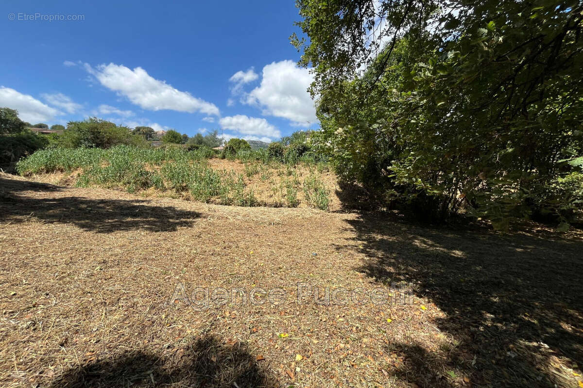 Terrain à VENCE