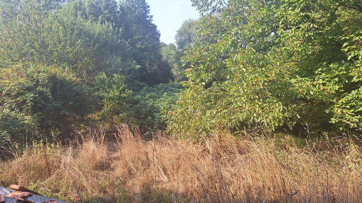 20250814_101829 - Commerce à PIEGUT-PLUVIERS