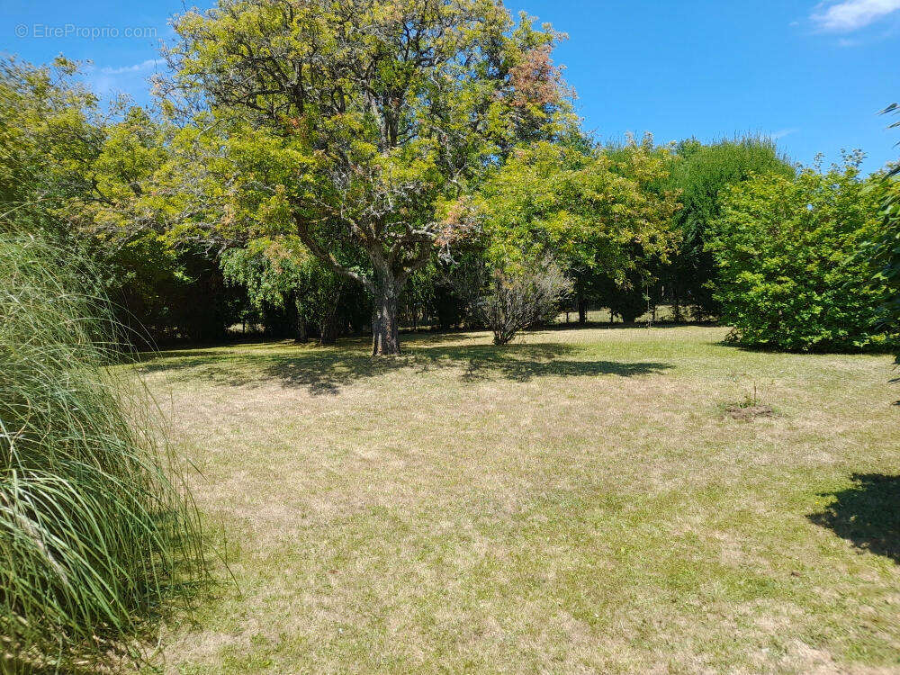 20250803_143639 - Maison à NONTRON