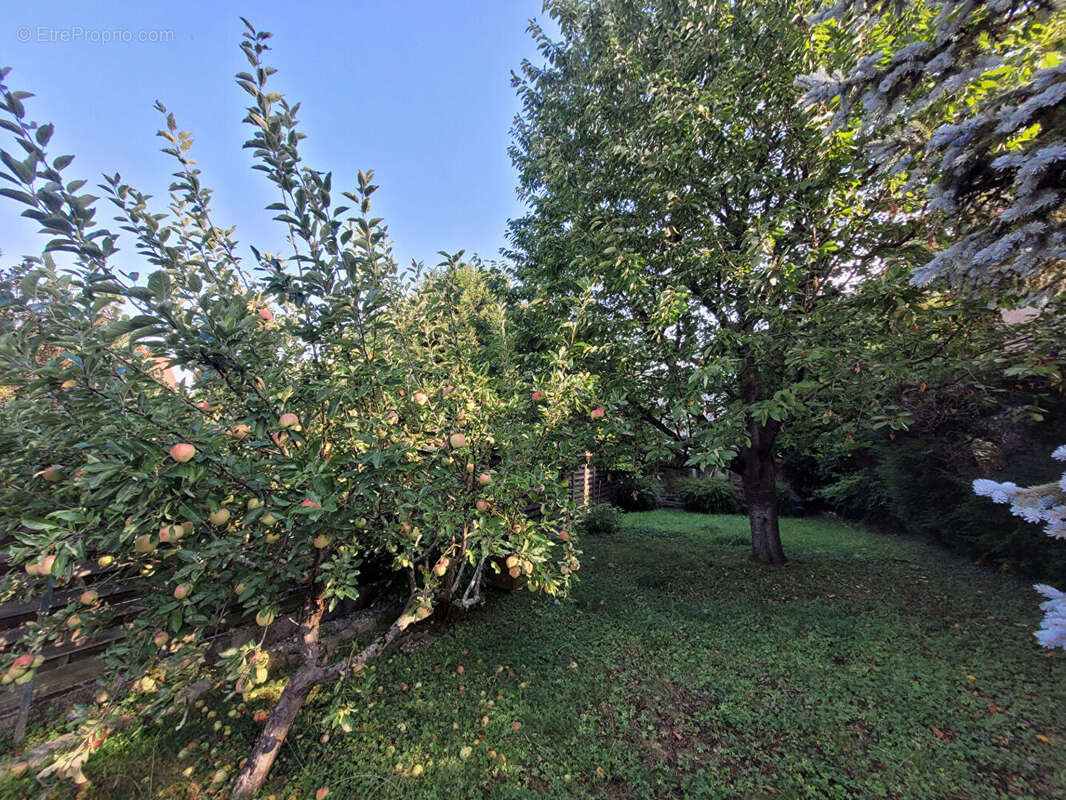 Maison à L'HAY-LES-ROSES