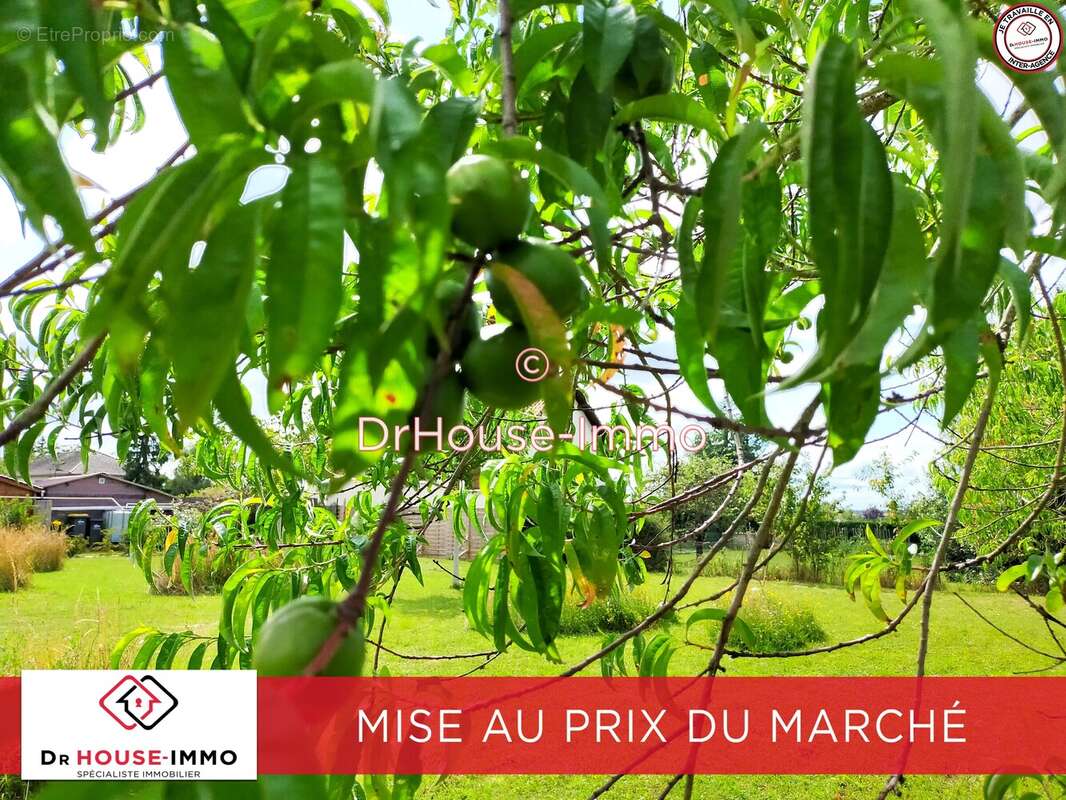 Terrain à L&#039;ISLE-JOURDAIN