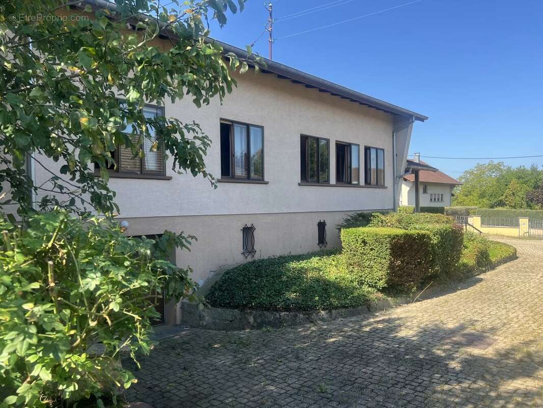 Maison à DANNEMARIE