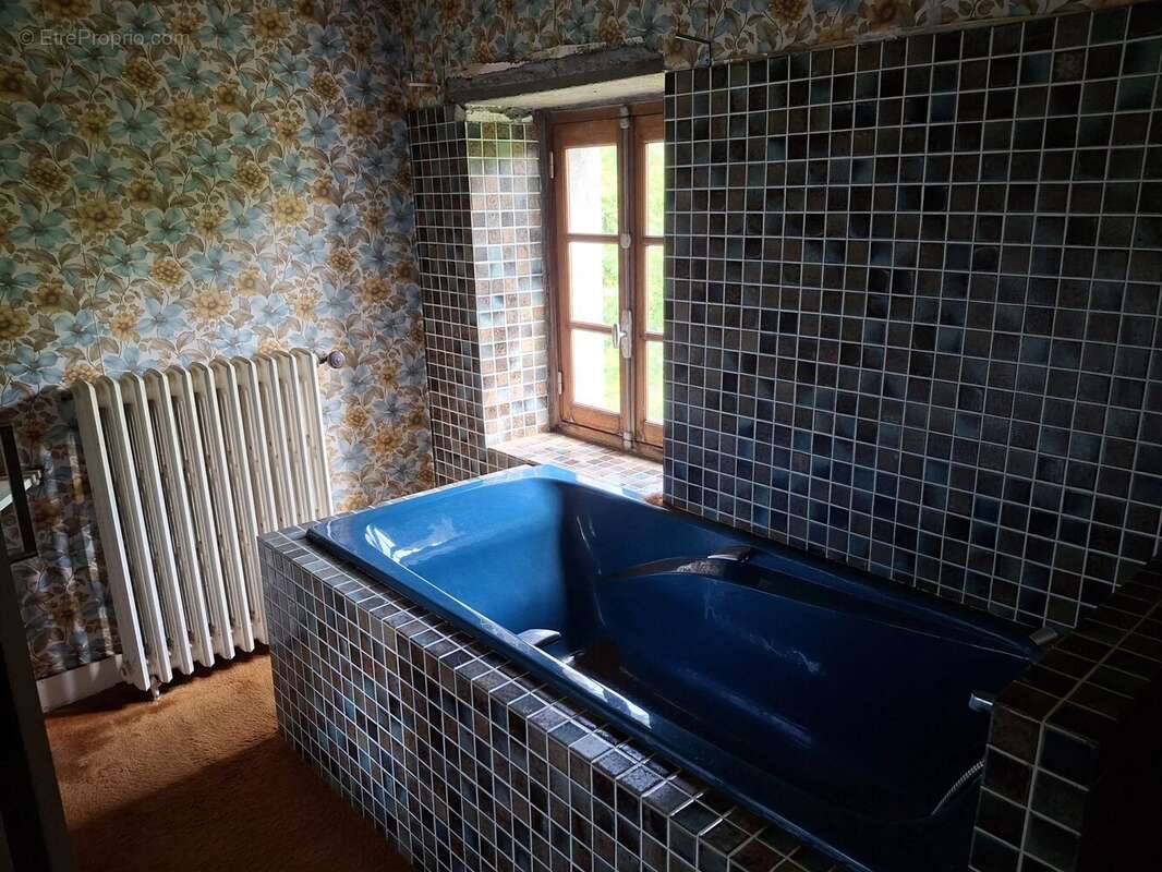 Maison à BUSSIERE-POITEVINE