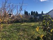 Terrain à VILLEBAROU