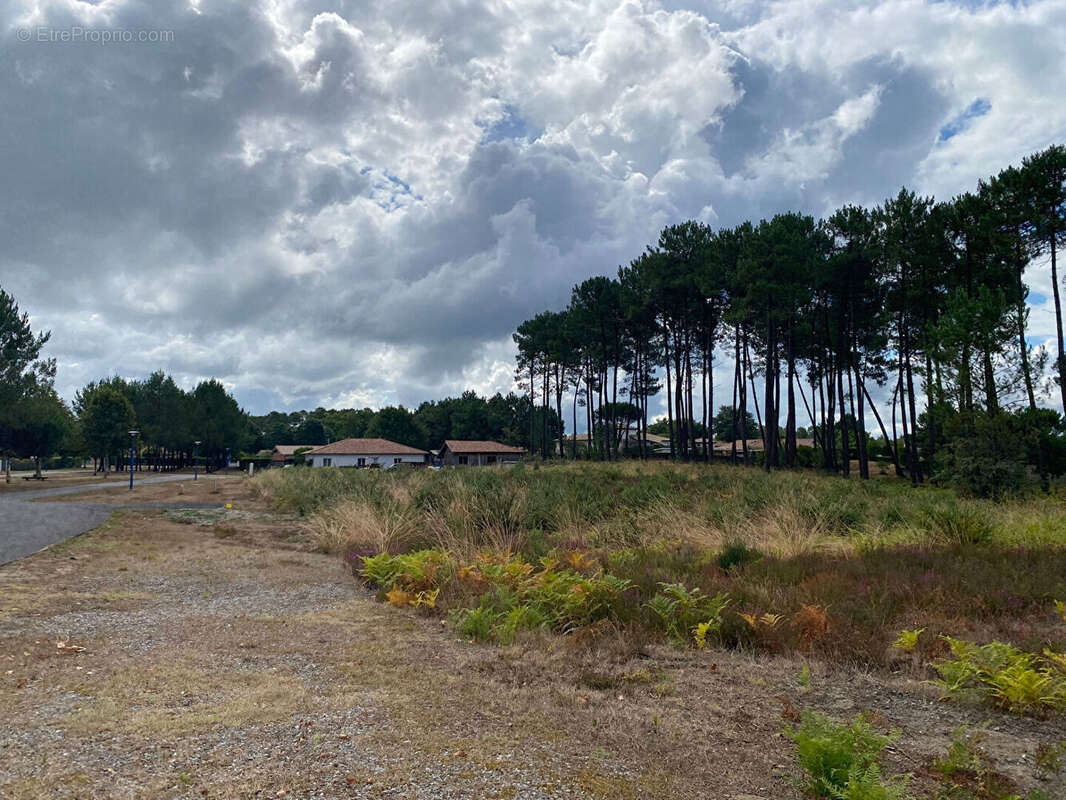 Terrain à RION-DES-LANDES