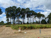 Terrain à RION-DES-LANDES