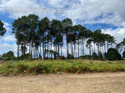 Terrain à RION-DES-LANDES
