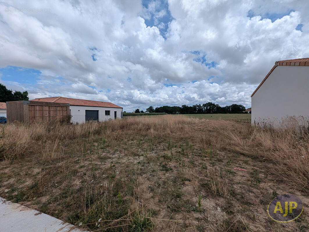 Terrain à VIEILLEVIGNE
