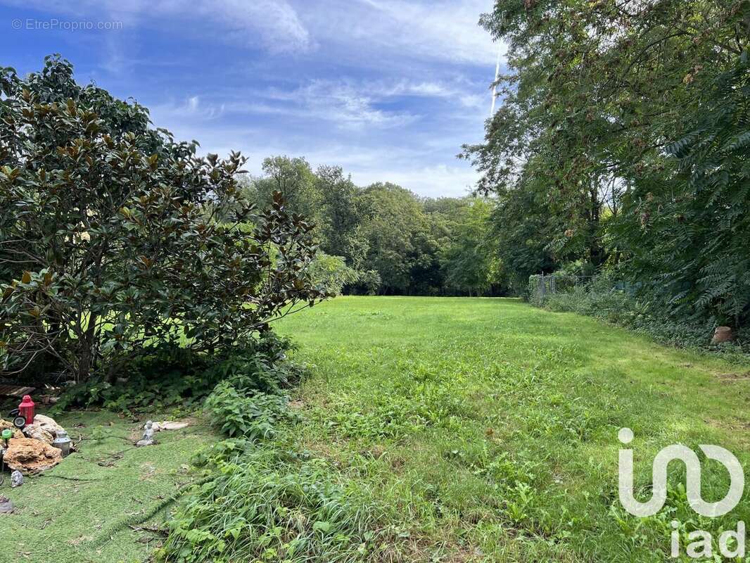 Photo 5 - Maison à MORSANG-SUR-SEINE