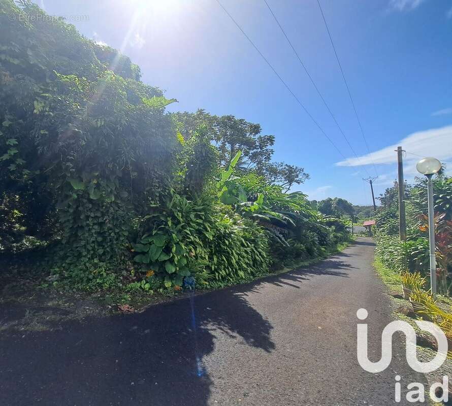 Photo 2 - Terrain à CAPESTERRE-BELLE-EAU