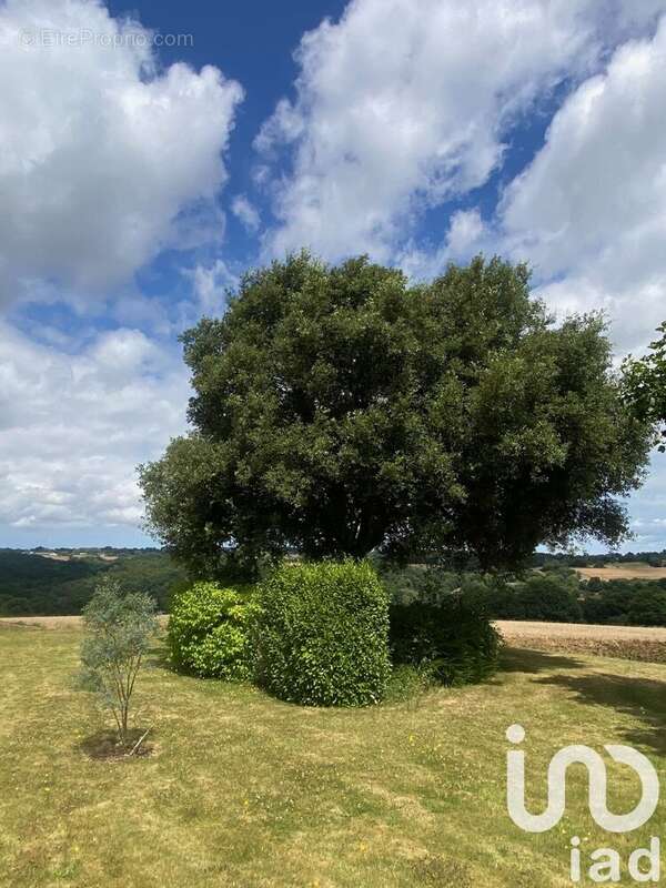 Photo 4 - Maison à QUEMPER-GUEZENNEC