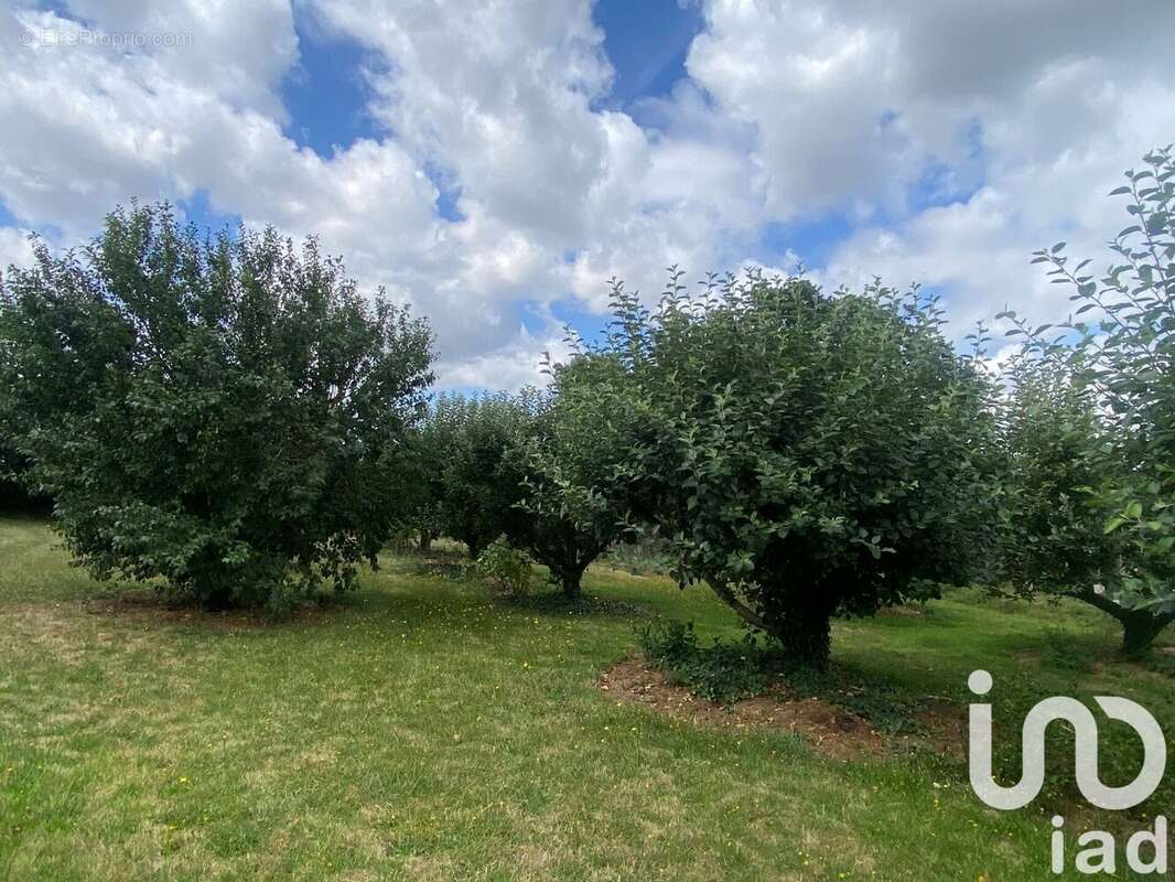 Photo 6 - Maison à QUEMPER-GUEZENNEC