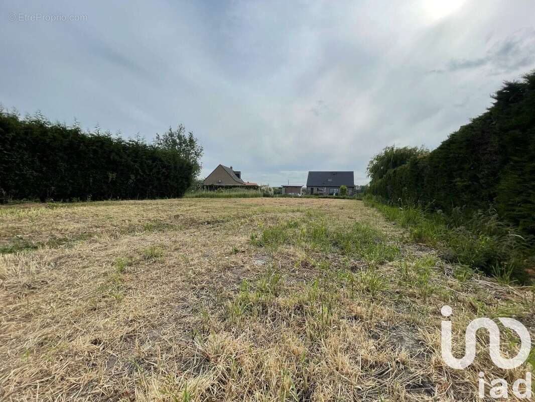 Photo 5 - Terrain à HOLQUE