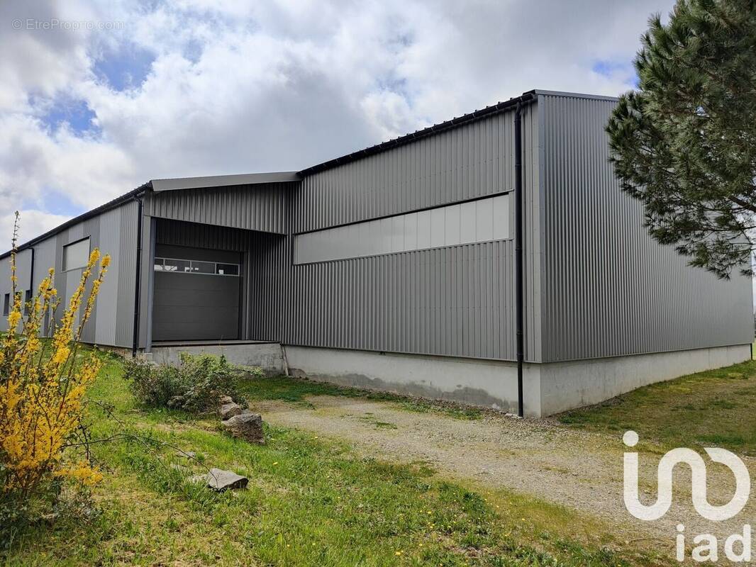 Photo 1 - Appartement à CARMAUX