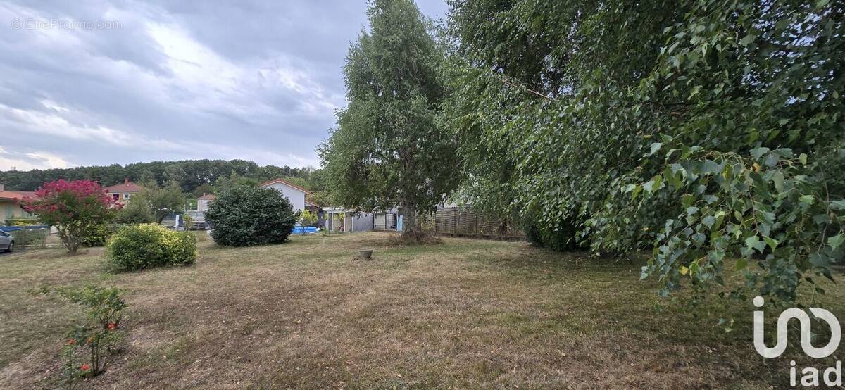 Photo 1 - Terrain à JUILLAN